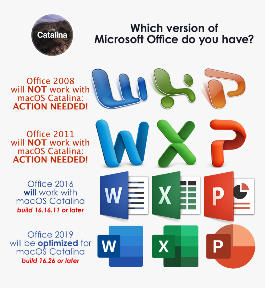 Microsoft office for mac update for catalina bay